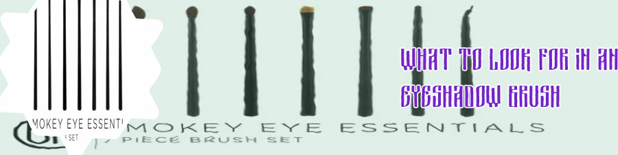 Smokey eye brush